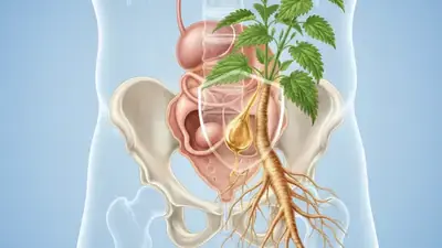 Moc korzenia pokrzywy: naturalne wsparcie męskości