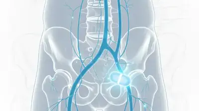 Viagra i zdrowie intymne mężczyzn: Przewodnik